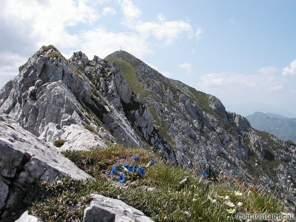 Il Zermula dalla Ferrata