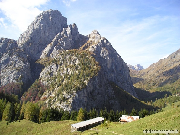 cliccare per vedere le Foto