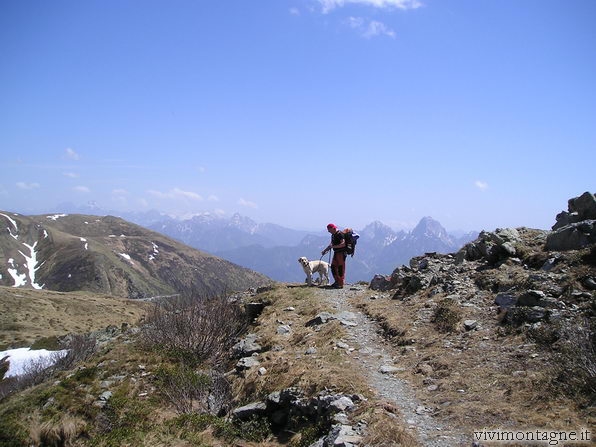 cliccare per vedere le Foto