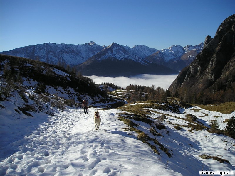 cliccare per vedere le Foto